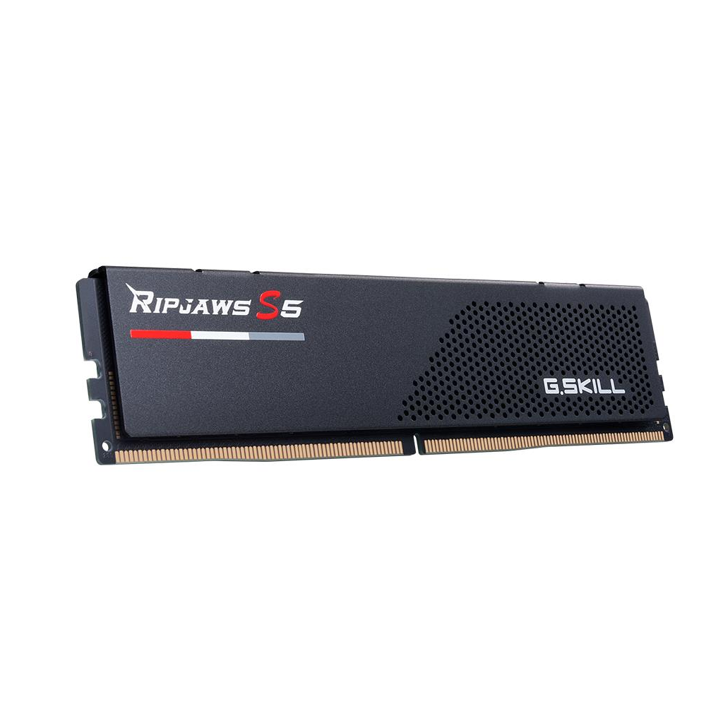GSKILL F55200J4040A24GX1-RS5K, 24GB, DDR5, 5200MHz CL40, 1.1V, XMP 3.0, Desktop Ram