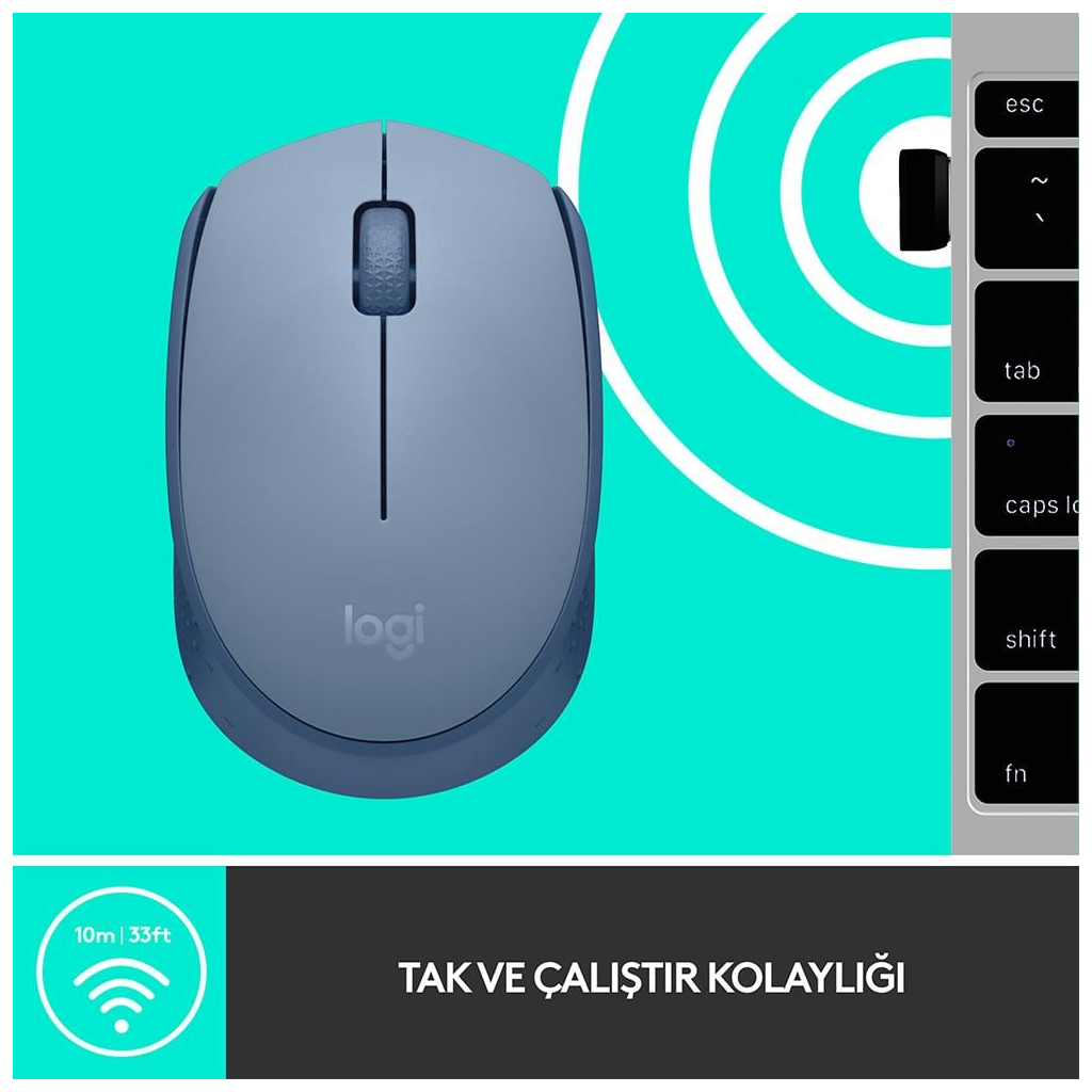 LOGITECH 910-006866, M171 BlueGrey, USB Nano 2,4G Kablosuz, 1000dpi, Optik, 3 Tuşlu, 12ay Pil Ömrü, Mouse